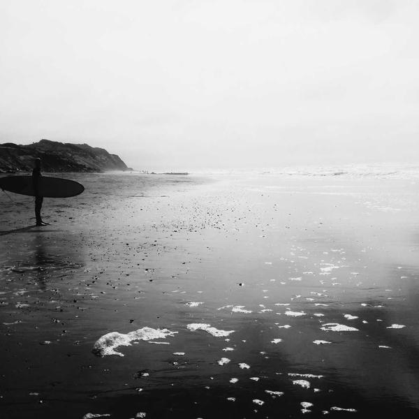 Moringa Wellness Capsules - Premium Moringa Product