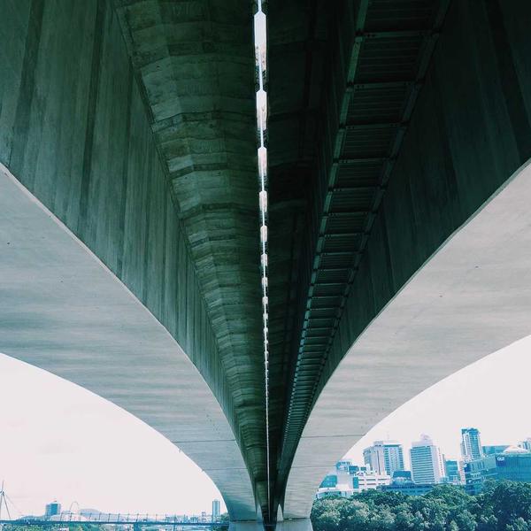 Moringa Detox Capsules - Premium Moringa Product