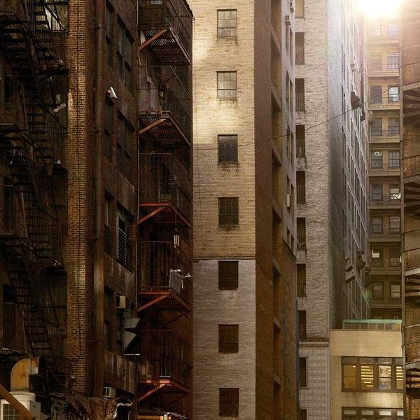 Pure Moringa Leaf Extract - Premium Moringa Product