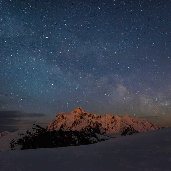 Moringa Green Powder - Premium Moringa Product