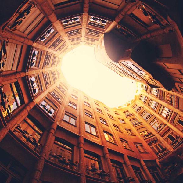 Fresh Moringa Powder - Premium Moringa Product