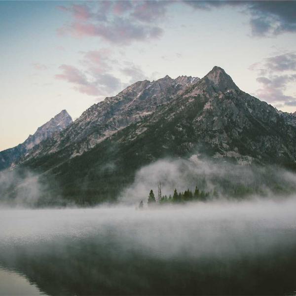 Immunity Superfood Blend - Premium Moringa Product