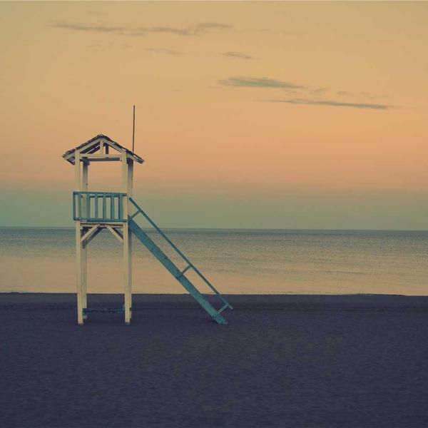 Moringa Digestive Blend - Premium Moringa Product