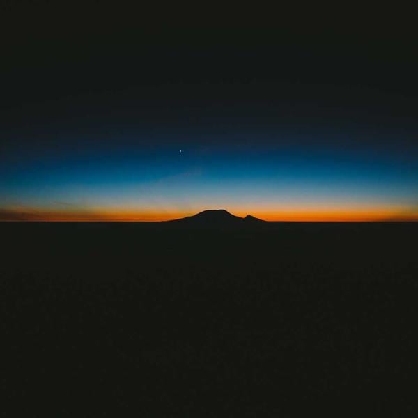 Moringa Spice Tea - Premium Moringa Product