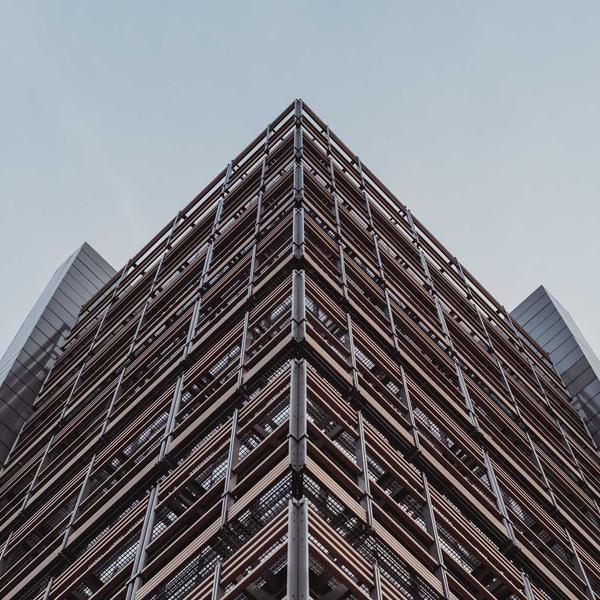 Moringa Chamomile Tea - Premium Moringa Product