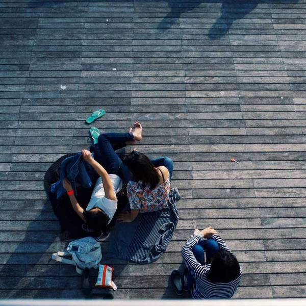 Moringa Wellness Tea - Premium Moringa Product