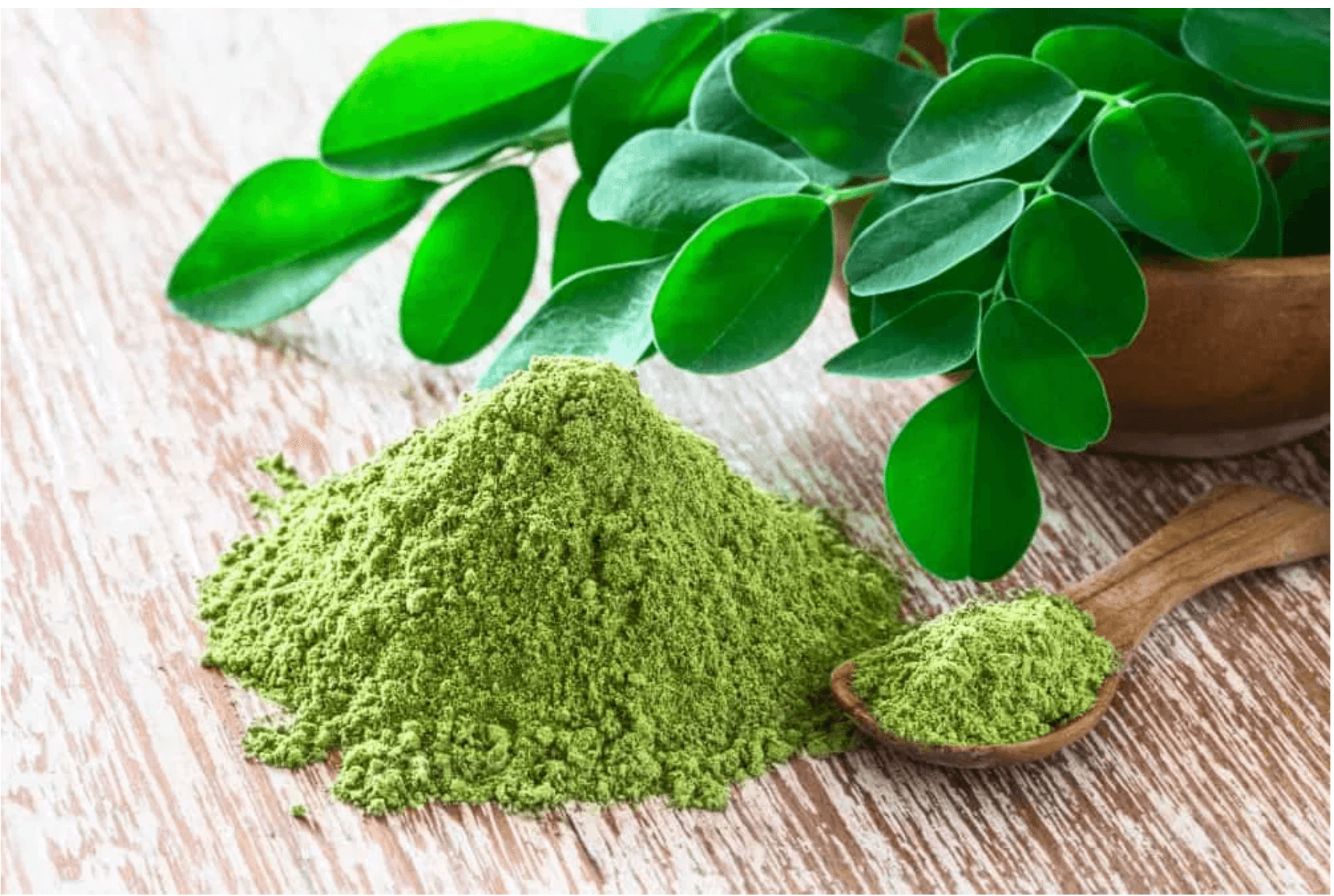 Organic Moringa Leaf Powder - Premium Moringa Product